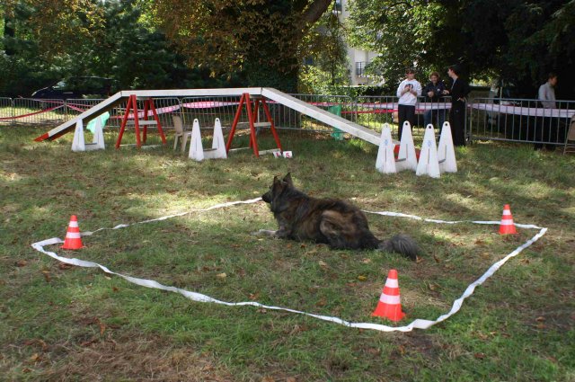 foire-haricots 2011-09-17et18